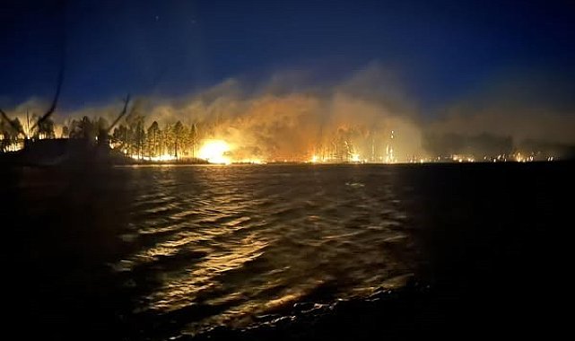 ABD'de orman yangını: 20 bin 425 dönümlük alan kül oldu