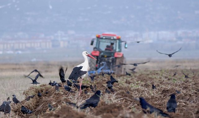 Erzurum'da traktör ve motosiklet sayısında artış var