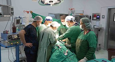 3 santimetrelik böbrek tümörü parsiyel nefrektomi ile çıkartıldı