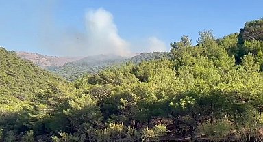 Adıyaman'da korkutan orman yangını