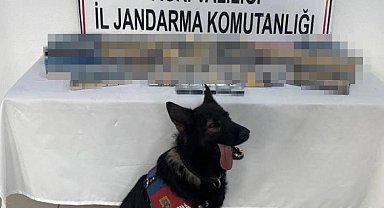 Ağrı'da bin 227 paket gümrük kaçağı sigara ele geçirildi