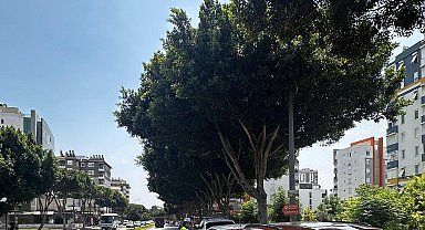 Antalya'da son 1 haftada 16 bin 155 araç ve sürücüsüne ceza kesildi