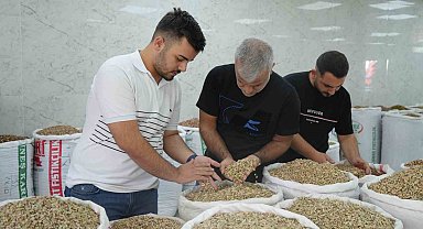 Antep fıstığına ithalat izni çıkıcınca fiyatlar ve satışlar düştü