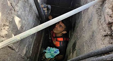 Apartman boşluğuna düşen kedi zorlu operasyonla kurtarıldı