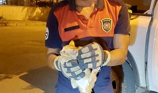 Aracın motor kısmına giren yavru kediyi itfaiye ekipleri kurtardı
