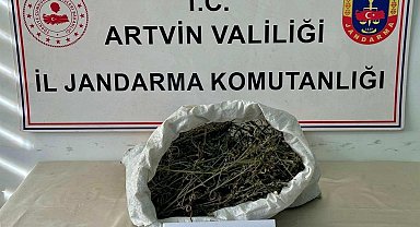 Artvin'de uyuşturucu operasyonu