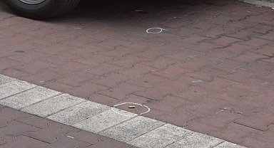 Avcılar'da iki yıl önce zıpkınla vurduğu abisini bu defa kurşunladı