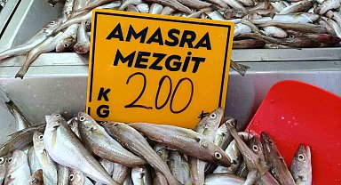 Balıkçılar palamut için "kestane karası"nı bekliyor