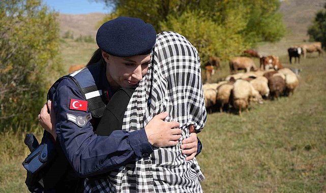 Bayburt'ta kaybolan 13 koyun jandarma ekiplerince dağda bulundu