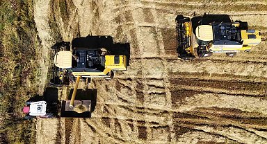 Bin dönümde yaklaşık 6 milyon lira maliyeti bulan tescilli Karacadağ pirincinde hasat zamanı