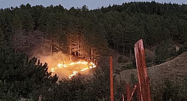 Bingöl'de çıkan orman yangını kontrol altına alındı