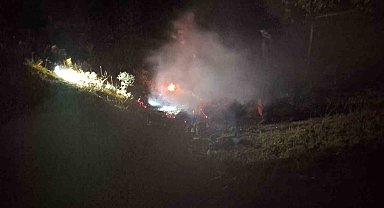 Bingöl'de çıkan yangın söndürüldü