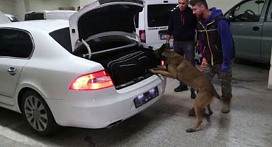 Bolu'da kaçakçılık operasyonunda 6 gözaltı