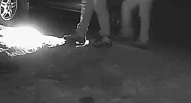 Boz ayı avlayan iki avcı fotokapana yakalandı