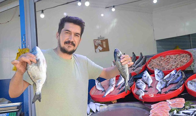 Bu yıl tezgâhların şampiyonu sardalya