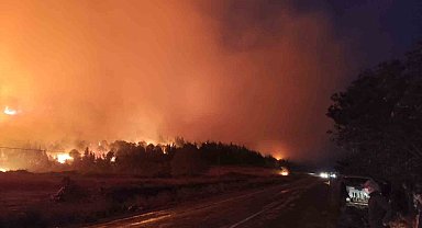 Bursa'da orman yangını...Rüzgarın etkisiyle büyüdü