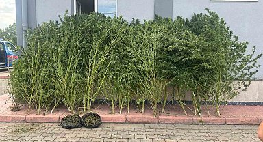 Bursa'da uyuşturucu operasyonu