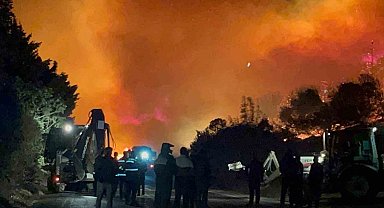 Bursa'daki orman yangını kontrol altına alındı