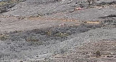 Bursa'daki orman yangını söndürüldü