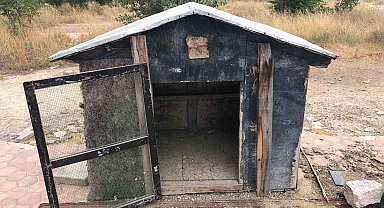 Cinayete kurban giden şahsın kuşları beslediği kafes boş kaldı