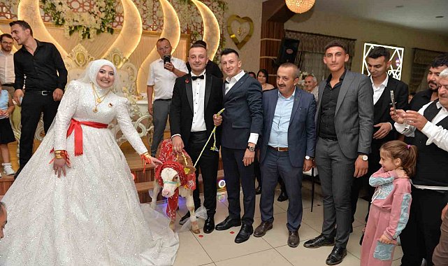 Düğünde gelin ve damada ilginç takı: Buzağı hediye ettiler