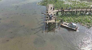 Efteni Gölü ahşap iskelesi yenileniyor