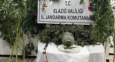Elazığ'da uyuşturucuyla mücadele: 1 tutuklama