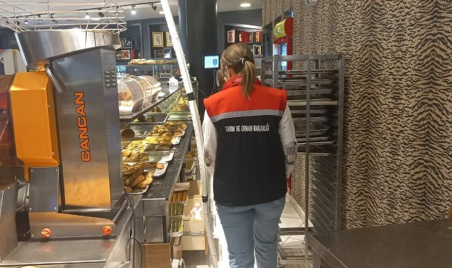 Erzurum'da gıda satışı yapan işletmeler denetlendi