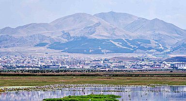 Erzurum'un "Beşeri Sermaye Endeksi" puanı 0.675 oldu