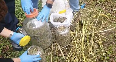 Fındık bahçesindeki bidonlardan uyuşturucu çıktı