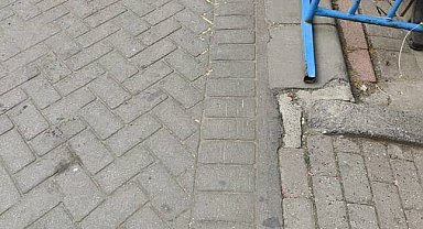 Gaziosmanpaşa'da ağızlıksız gezdirilen pitbull başka köpeğe saldırdı