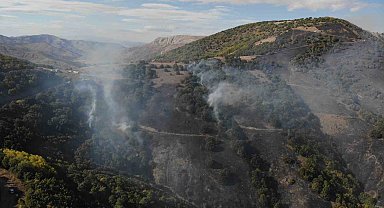 Gümüşhane'deki orman yangınında 30 hektar alan küle döndü