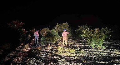 Jandarma ekipleri, narenciye hırsızlarına karşı devriyede