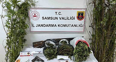 Jandarmadan uyuşturucu operasyonu: Esrar, kenevir ve silah ele geçirildi