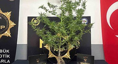 Karabük'te uyuşturucu operasyonu: 1 tutuklama