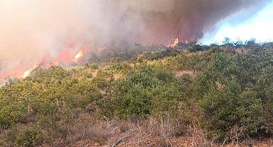 Kepsut'ta orman yangını başladı