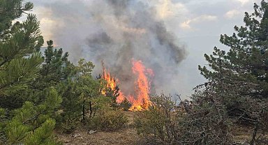 Konya'da ormanlık alanda çıkan yangın söndürüldü