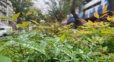 Kuraklıkla mücadele eden İzmir'de yağmur serinliği