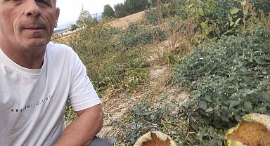 Mudurnu'da kargalar 80 karpuzu delik deşik etti