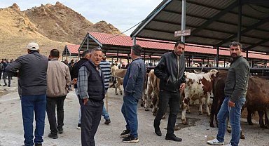 Oltu canlı hayvan pazarı şap hastalığı sonrası eski canlılığına kavuştu