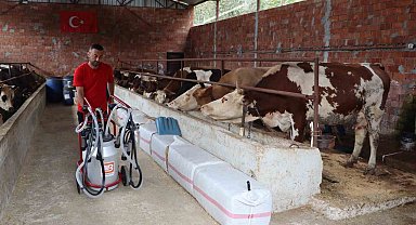 Ordu'da sütün değeri artıyor