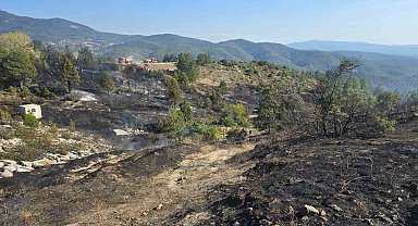 Ormanda piknik keyfi, faciaya sebep oluyordu...