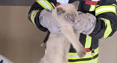 Osmaniye'de araç motoruna sıkışan kedi kurtarıldı