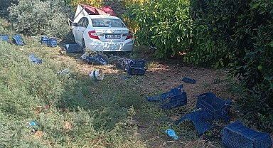 Otomobil bahçeye daldı: Hasat yapan işçilerden 1'i öldü, 3'ü yaralandı