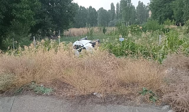 Otomobil mısır ekili araziye devrildi: 2 yaralı