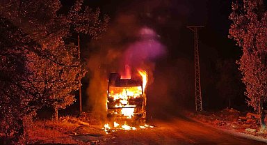 Park halindeki kamyon cayır cayır yandı