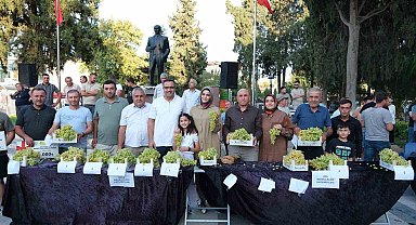 Sarıgöl'de Sultani üzüm yarışması