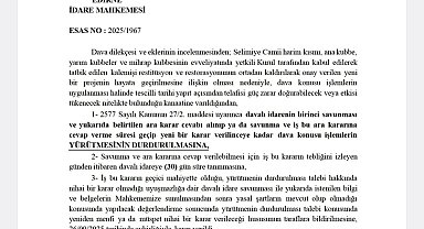 Selimiye Camii'nde tepki çeken restorasyona yargı freni