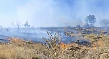 Sincik ilçesinde korkutan orman yangını