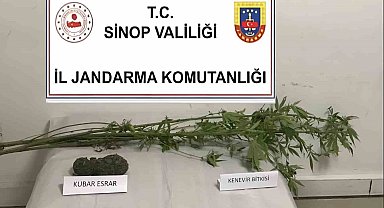 Sinop'ta kenevir ve kubar esrar ele geçirildi